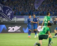 武汉三镇对阵山东泰山